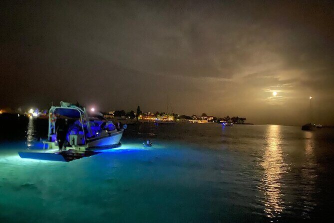 Palm Beach Luxury Day Boat Cruises - Authentic Insights from Past Travelers
