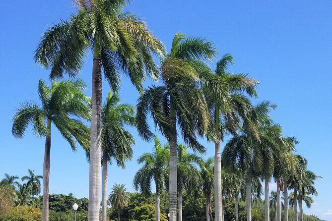 Palm Beach Tour from Miami - Flagler's Museum + Hotel Breakers - A Deep Dive into the Palm Beach Experience