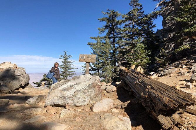 Palm Springs Aerial Tramway Admission Ticket - An Introduction to the Tramway Experience