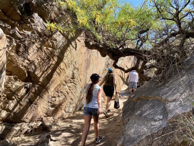Palm Springs: Indian Canyons Jeep/Hiking Combo Tour - Key Points