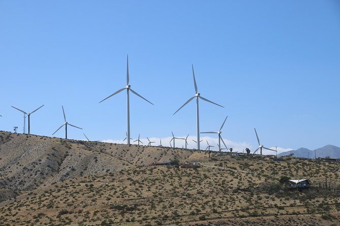 Palm Springs Windmill Tours - The Experience in Detail