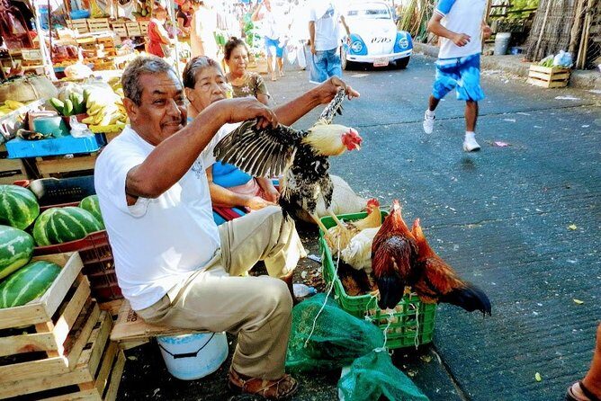 Palma Sola Secrets Petroglyphs Culture & Market Flavors withLunch - Who Should Consider This Tour?