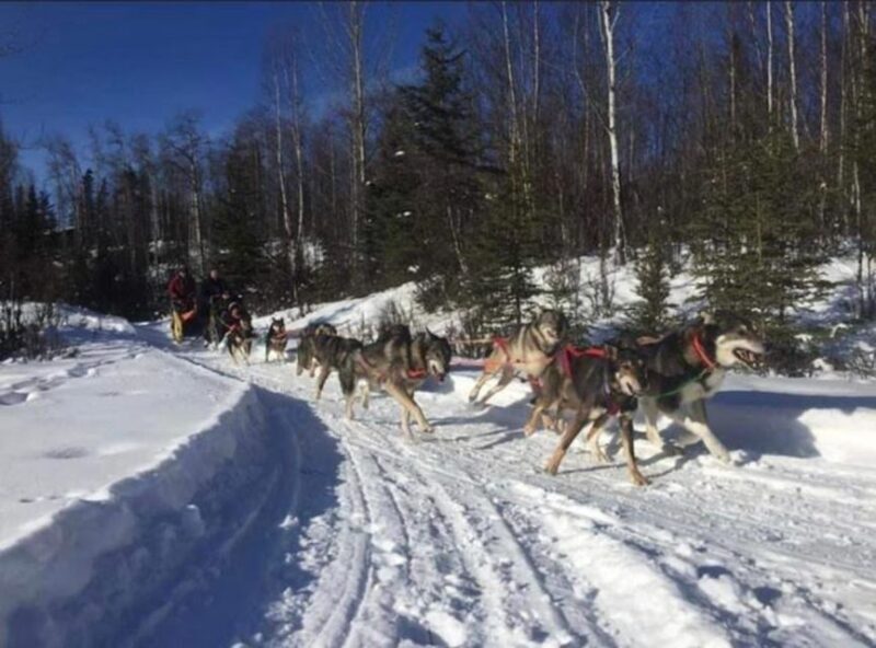 Palmer: "Dogs and Glaciers" Sledding and Helicopter Tour - Why This Tour Offers Great Value