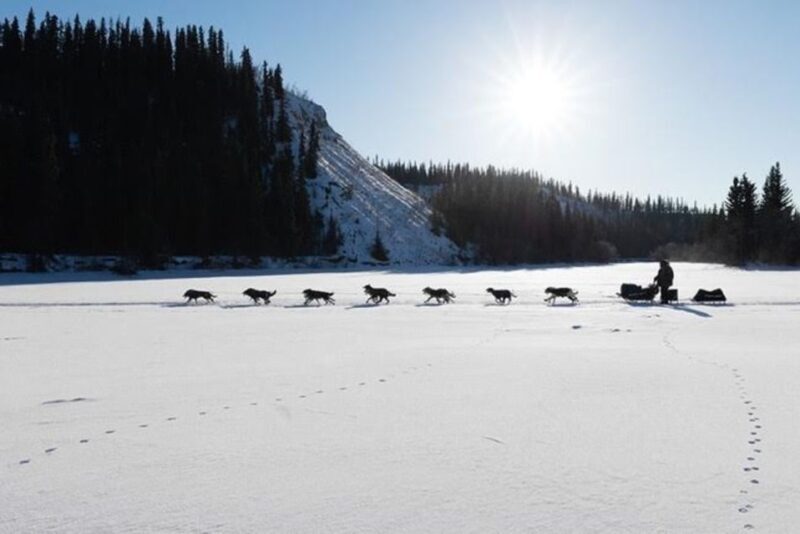 Palmer: "Dogs and Glaciers" Sledding and Helicopter Tour - Practical Tips for Booking and Preparing