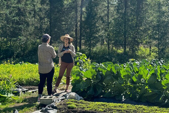 Palmer Farm Tour - Key Points