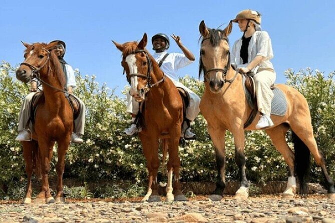 Palmeraie Grove Horse Ride 2 Hour Trip with Transfer - Marrakesh - Setting the Scene: Marrakesh’s Palmeraie – A Natural Oasis