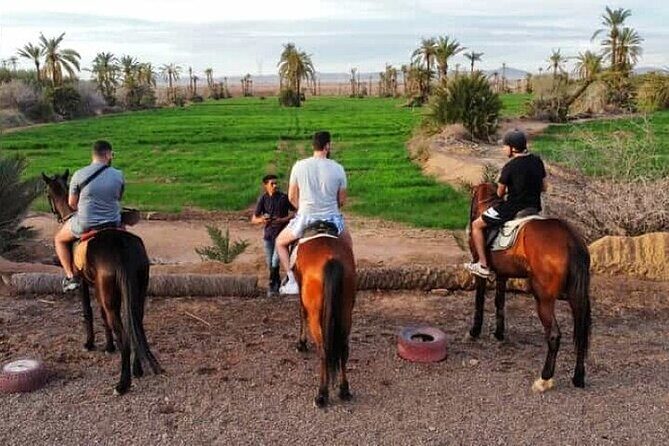 Palmeraie Grove Horse Ride 2 Hour Trip with Transfer - Marrakesh - Personal Experience Highlights from Reviews