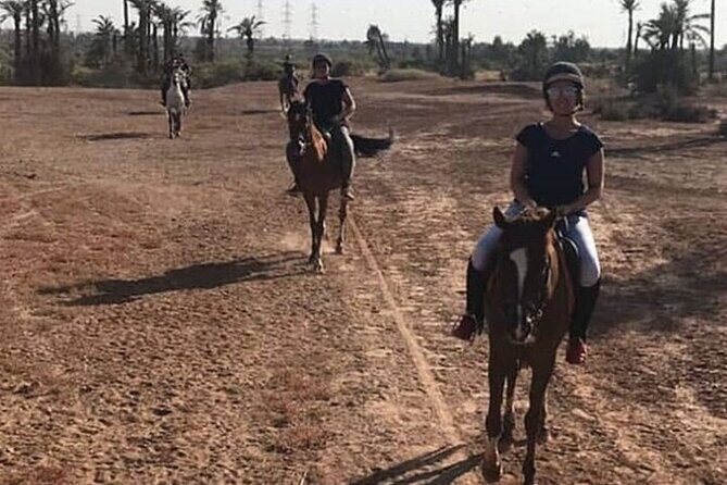 Palmeraie Grove Horse Ride 2 Hour Trip with Transfer - Marrakesh - Practical Tips for Future Riders