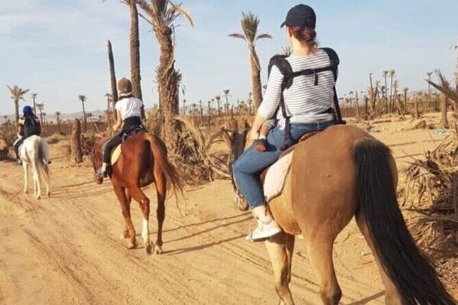 Palmeraie Grove Horse Ride 2 Hour Trip with Transfer - Marrakesh - The Sum Up: Is It Worth It?