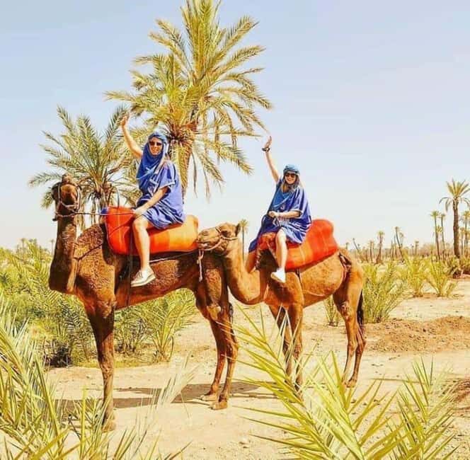 Palmeraie Marrakech Camel Ride & Quad Bike Package Exprience - What to Expect from the Palmeraie Marrakech Camel Ride & Quad Bike Package