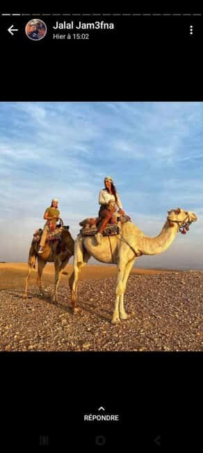 Palmeraie Marrakech Camel Ride & Quad Bike Package Exprience - Who Will Enjoy This Experience?