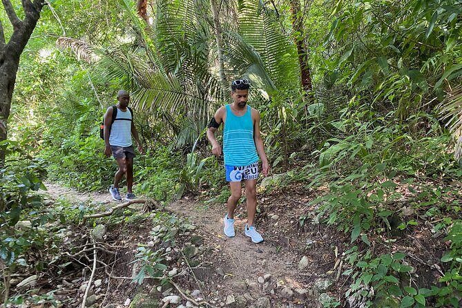 Palo María Waterfalls Hike Half-Day Tour - Final Thoughts: Who Will Love This Tour?