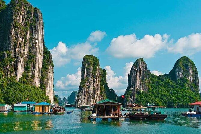 Pamela Luxury 5-Star Day Cruise: Explore Halong Bay with Lunch - Who Should Consider This Tour?