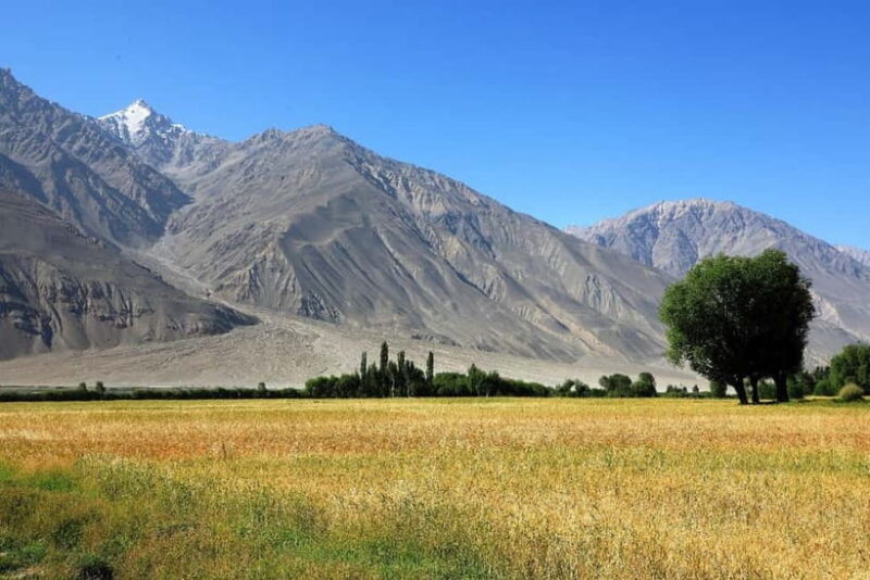 Pamir Highway Adventure from Osh to Dushanbe - Authentic Experiences and Highlights