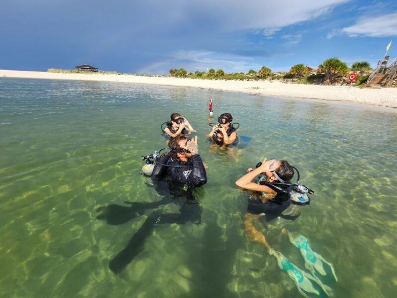 Panama City Beach: Beginners Scuba Diving Tour - The Full Experience: What to Expect and Why It Matters