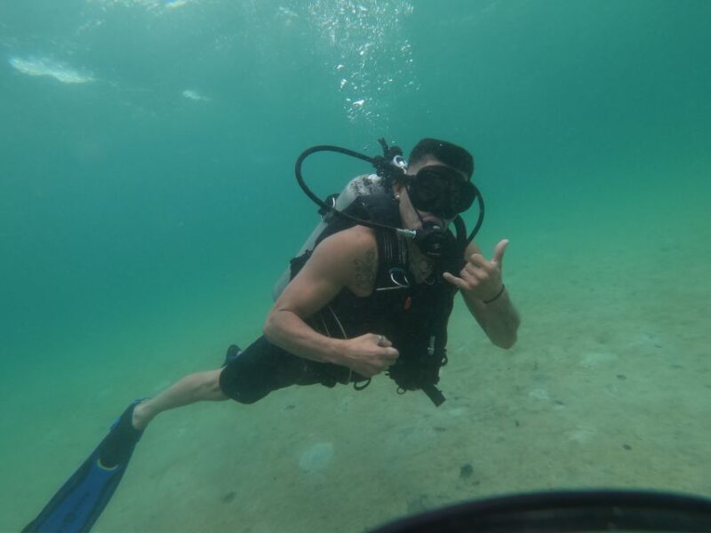 Panama City Beach: Beginners Scuba Diving Tour - The Bottom Line: Who Will Love This Experience?