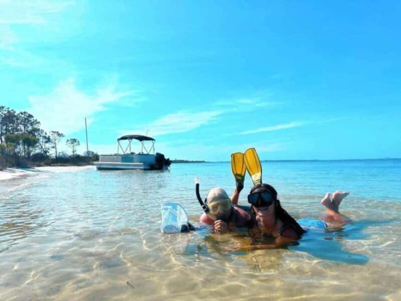 Panama City Beach: Dolphin Watching and Snorkeling Tour - Key Points