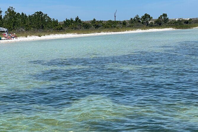 Panama City Beach Florida, Dolphin, Shell Island and Eco Tours - In-Depth Look at the Experience
