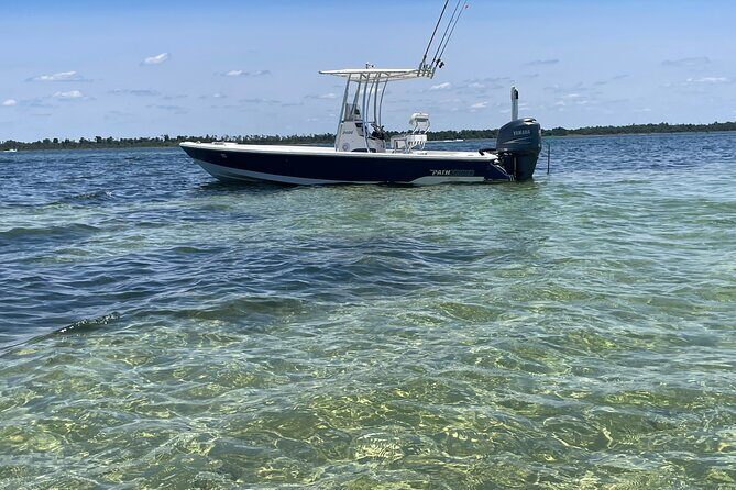 Panama City Beach Florida, Dolphin, Shell Island and Eco Tours - Who This Tour Is Best For