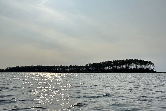 Panama City Beach Florida, Dolphin, Shell Island and Eco Tours - Frequently Asked Questions