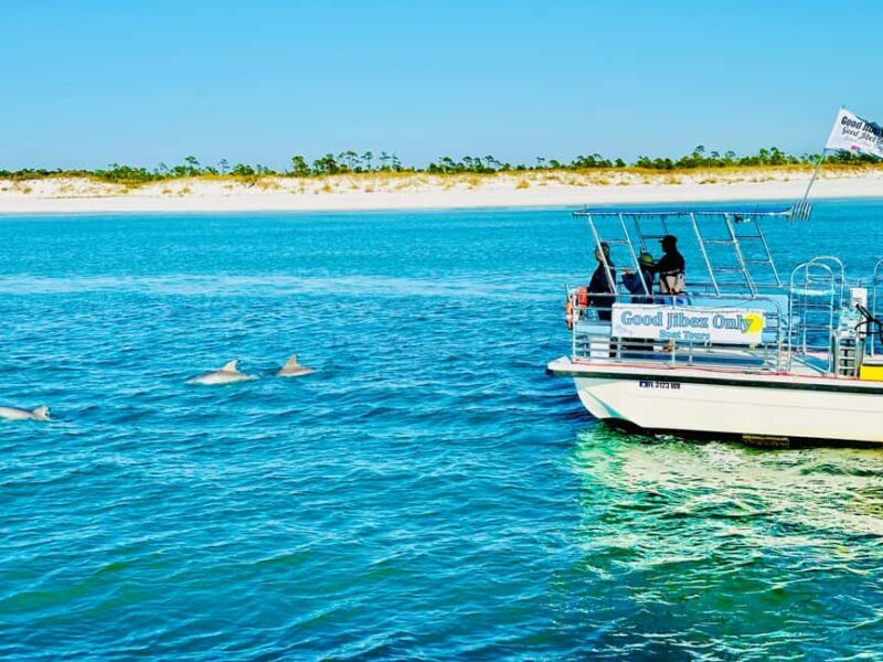 Panama City Beach: Snorkel Excursion with Good Jibez Only - Key Points