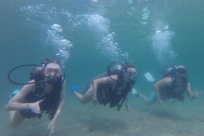Panama City Scuba Diving Activity for Beginners - An In-Depth Look at the Experience