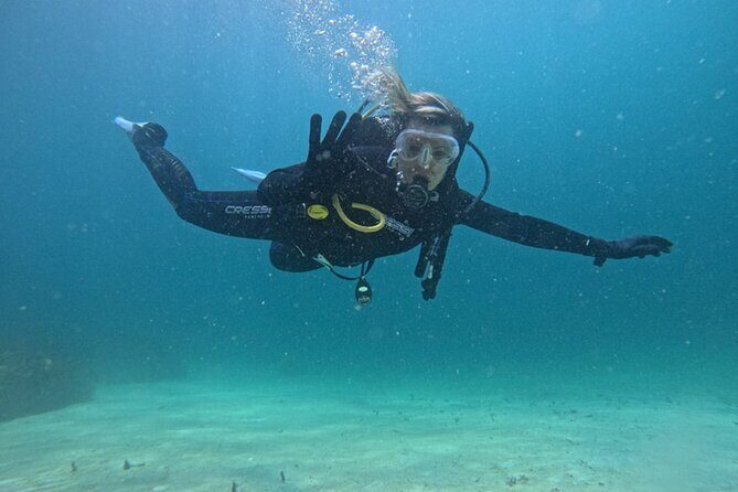 Panama City Scuba Diving Activity for Beginners - Who Should Consider This Tour?