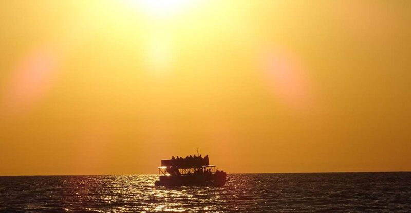 Panama City: Sunset Dolphin Cruise in St. Andrews Bay - A Closer Look at the Experience