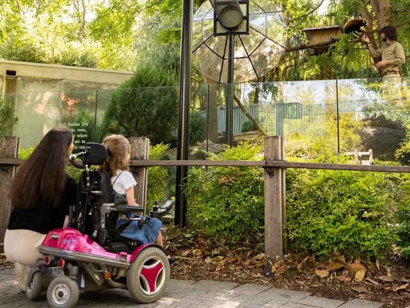 Panda & Friends Tour and a Day at Adelaide Zoo - The Experience: What Travelers Say