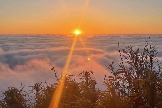 Panda, Leshan, and Emei Mountain 2-day tour - A Complete Look at the Panda, Leshan, and Emei Mountain 2-Day Tour