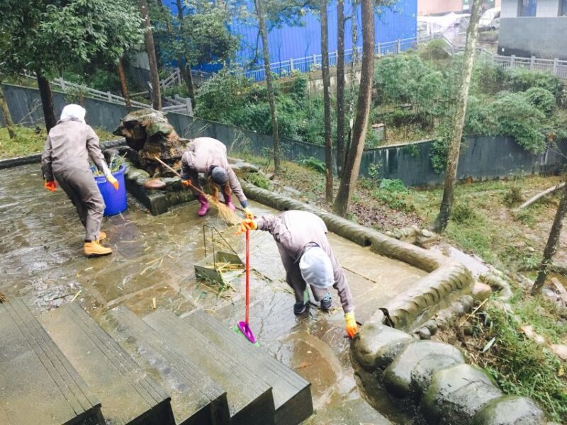 Panda Volunteer Project Day Trip(Wolong/Du Jiang Yan) - Key Points
