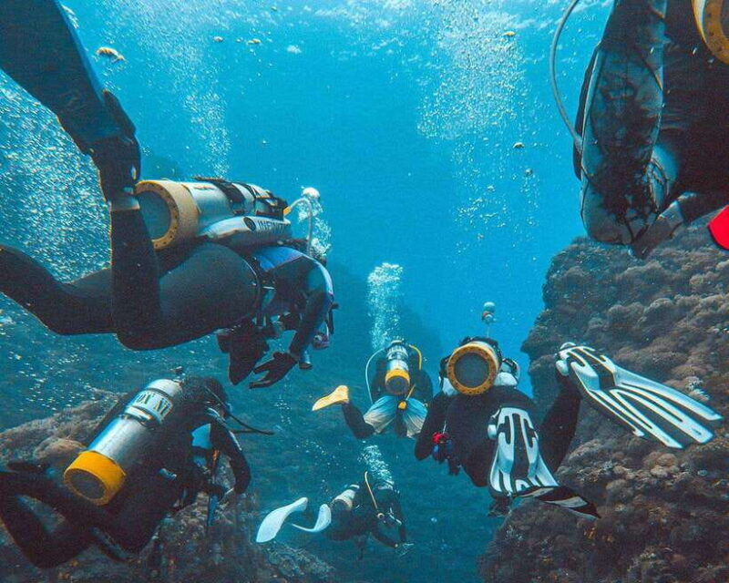 Panglao Bohol: Try Scuba Diving at Napaling and Sardines - Who Will Love This Tour?