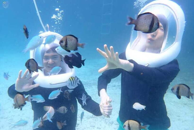 Panglao: Helmet Diving Experience with Photos and Videos - Introduction