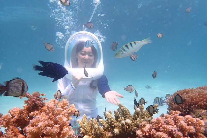 Panglao: Helmet Diving Experience with Photos and Videos - Key Points
