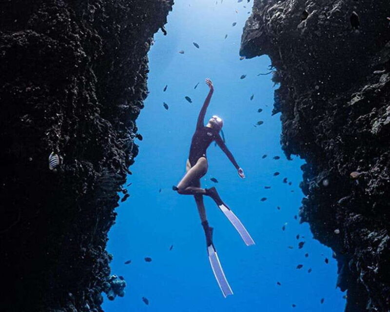 Panglao: Napaling Reef and Sardines Freediving Experience - The Experience in Detail