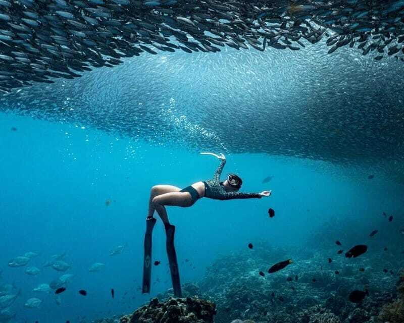 Panglao: Napaling Reef and Sardines Freediving Experience - FAQ