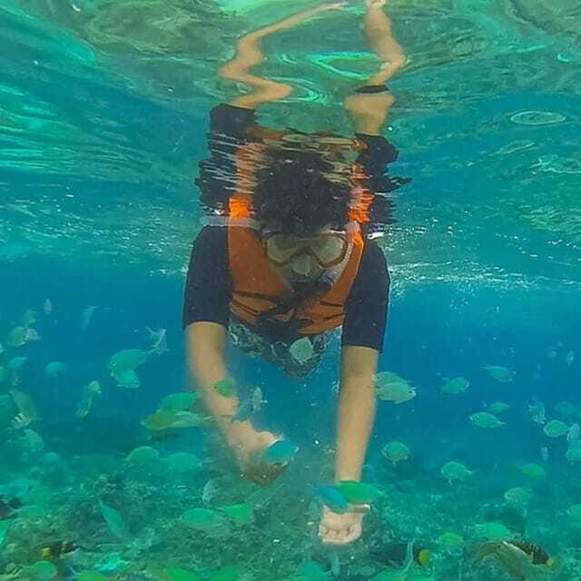 Panglao:Balicasag Island Tour with Turtle & Dolphin Watching - Key Points
