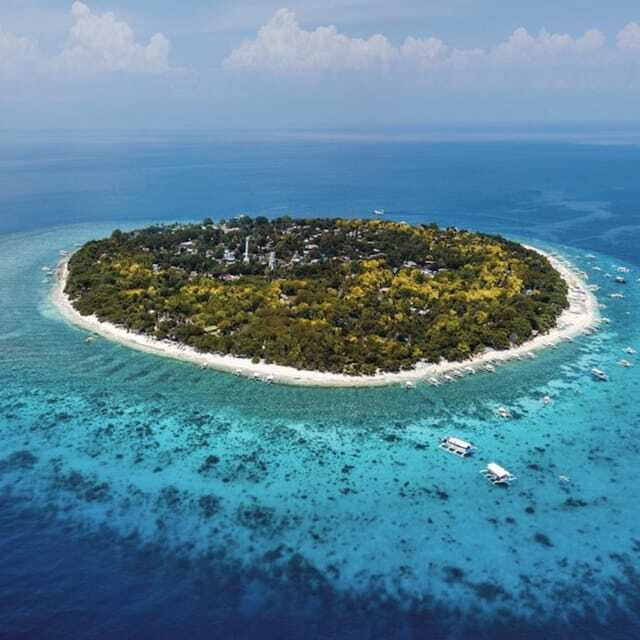 Panglao:Balicasag Island Tour with Turtle & Dolphin Watching - Who Should Book This Tour?