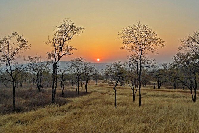 Panna Tiger Reserve Tour from Khajuraho - Final Thoughts