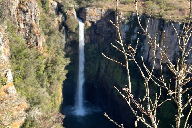 Panorama Route Full Day Tour - Final Thoughts