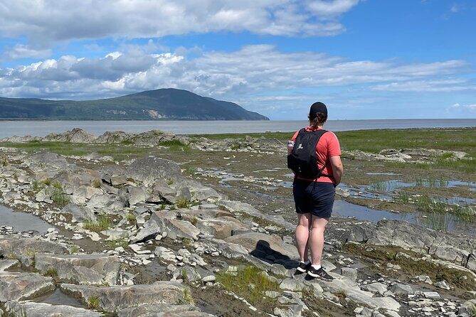 Panoramic and historical tour of the Île d'Orléans - Exploring the Île dOrléans: A Guided Tour of Quebec’s Historic Island