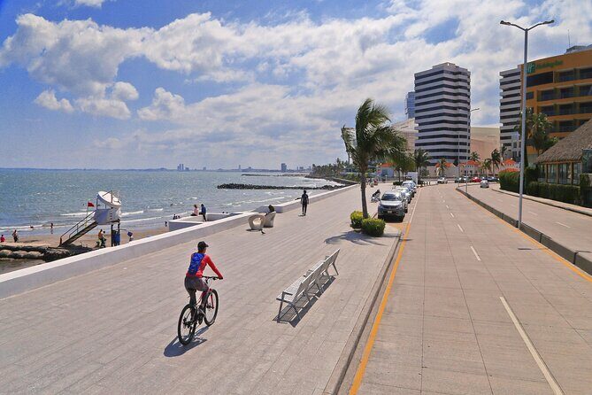 Panoramic Sightseeing Bus City Tour of Veracruz - Who Should Consider This Tour?