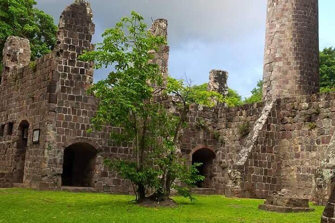 Panoramic Sightseeing Tour of St Kitts - Who Should Consider This Tour?