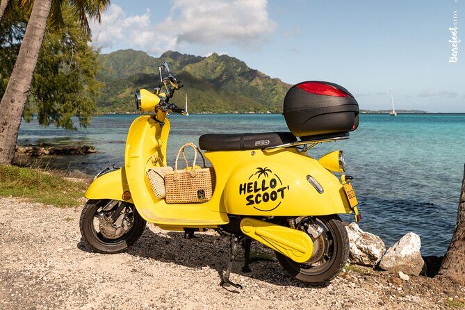 Papeete Food & City Tour - The Guides and Atmosphere