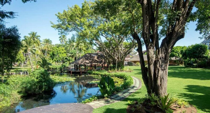 Papeete : walking tour - A Deep Dive into the Papeete Walking Tour