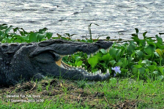 Paradise Bundala Safari Tours - Key Points