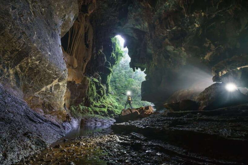 Paradise Cave and Phong Nha Cave Day Trip - An In-Depth Look at the Experience