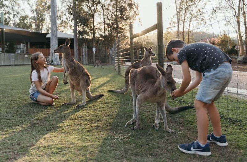 Paradise Country: Ultimate Aussie Farm Experience - Key Points