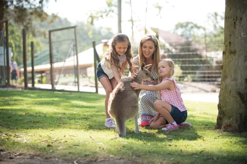Paradise Country: Ultimate Aussie Farm Experience - An Entertaining Look at Paradise Country