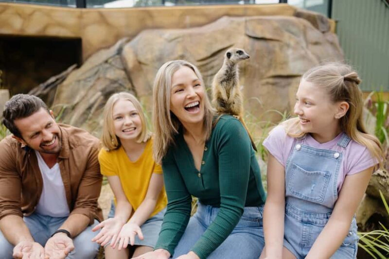 Paradise Country: Ultimate Aussie Farm Experience - The Sum Up